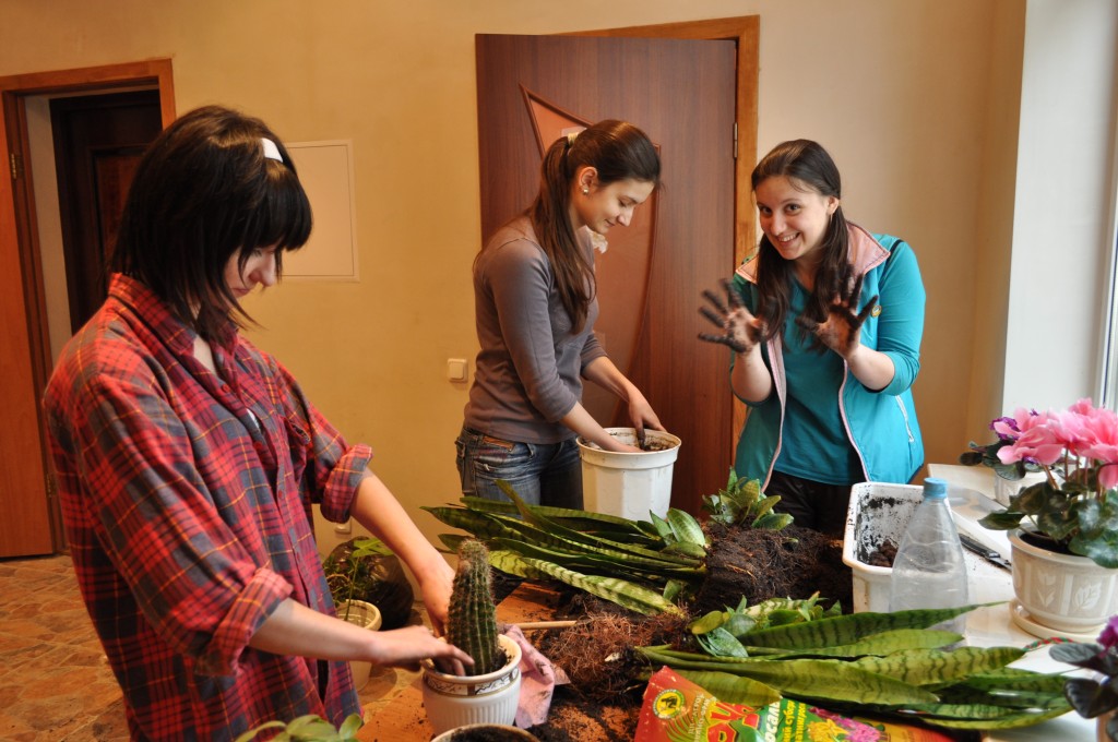 Леся Артемьева, Настя Луцыкив и Света Зотова готовят растения к семинару